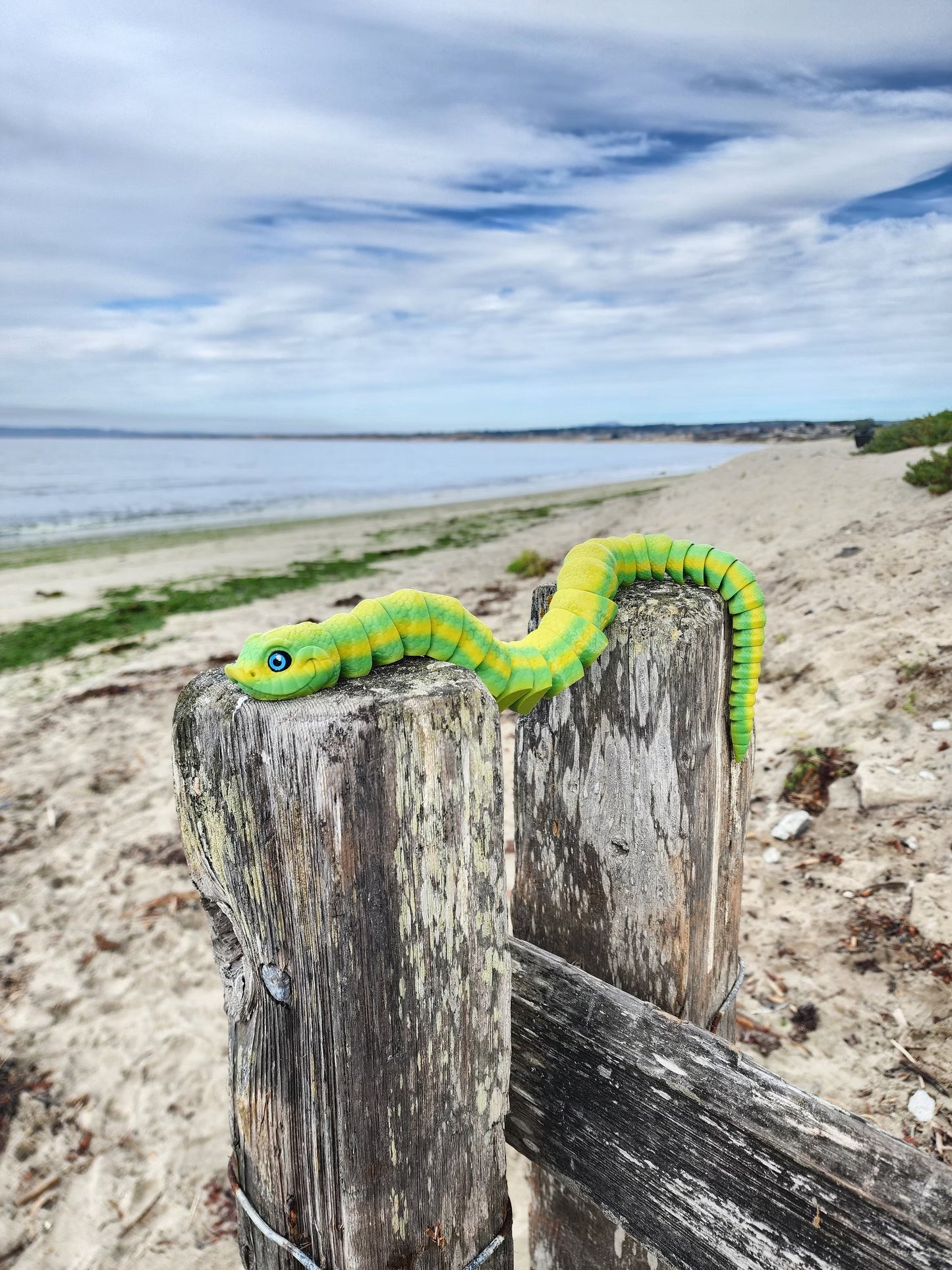 Hognose Snake - Articulated Toy