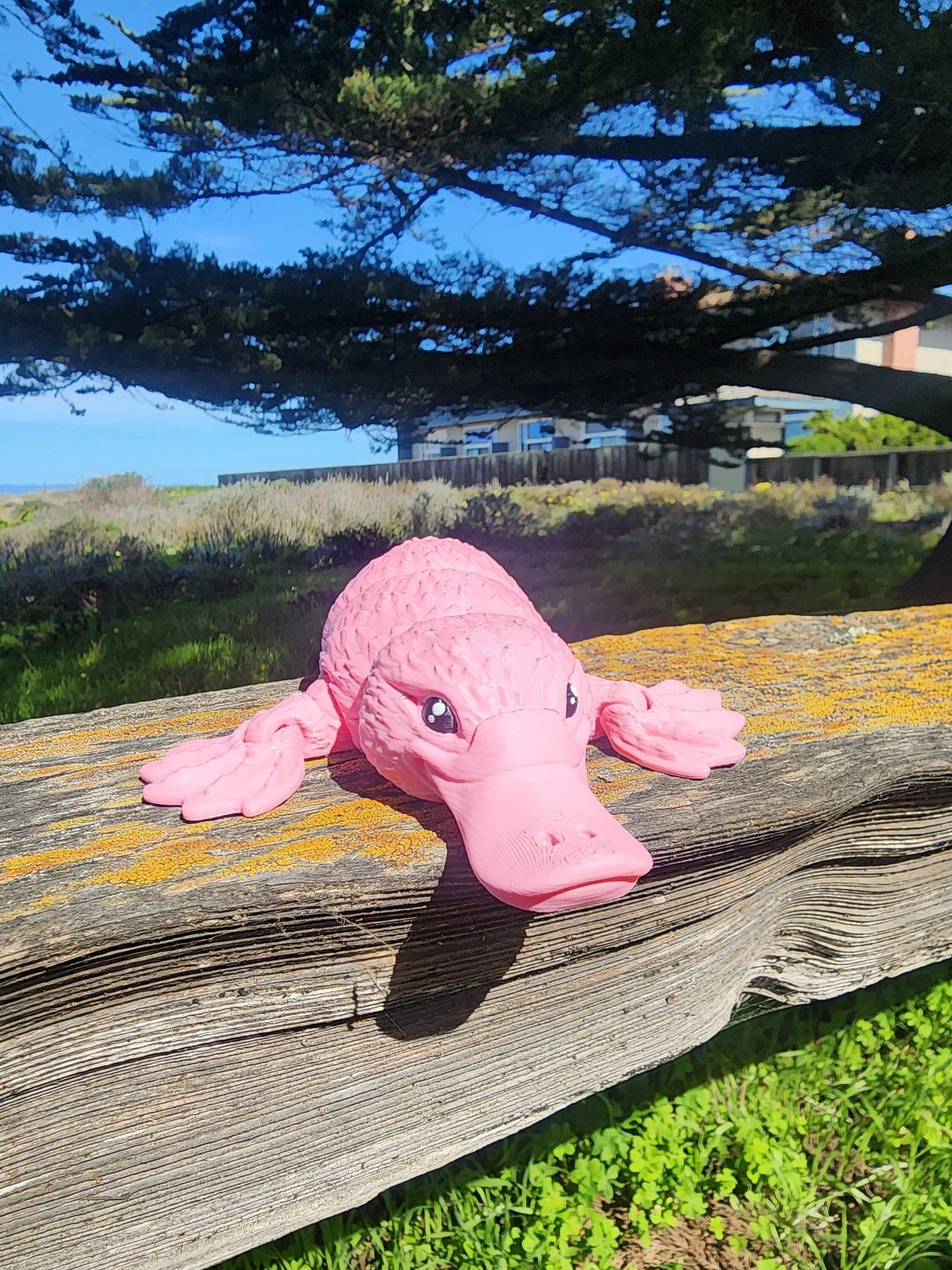 Platypus Articulated Toy! - Custom Color Options - Handmade - Fidget Toy - Cool Gift Idea