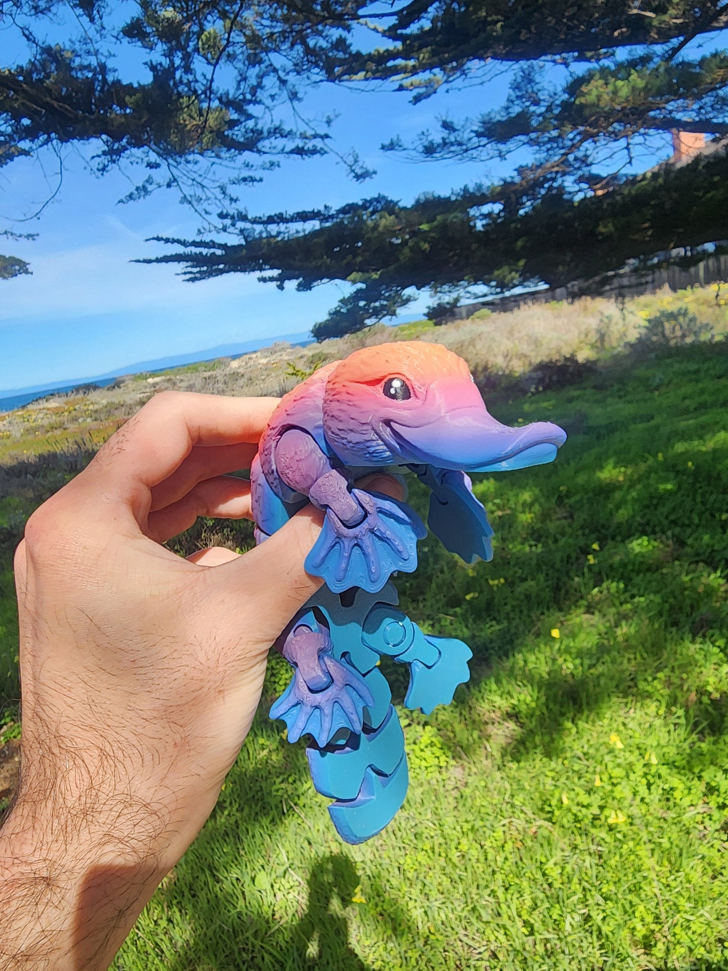 Platypus Articulated Toy! - Custom Color Options - Handmade - Fidget Toy - Cool Gift Idea