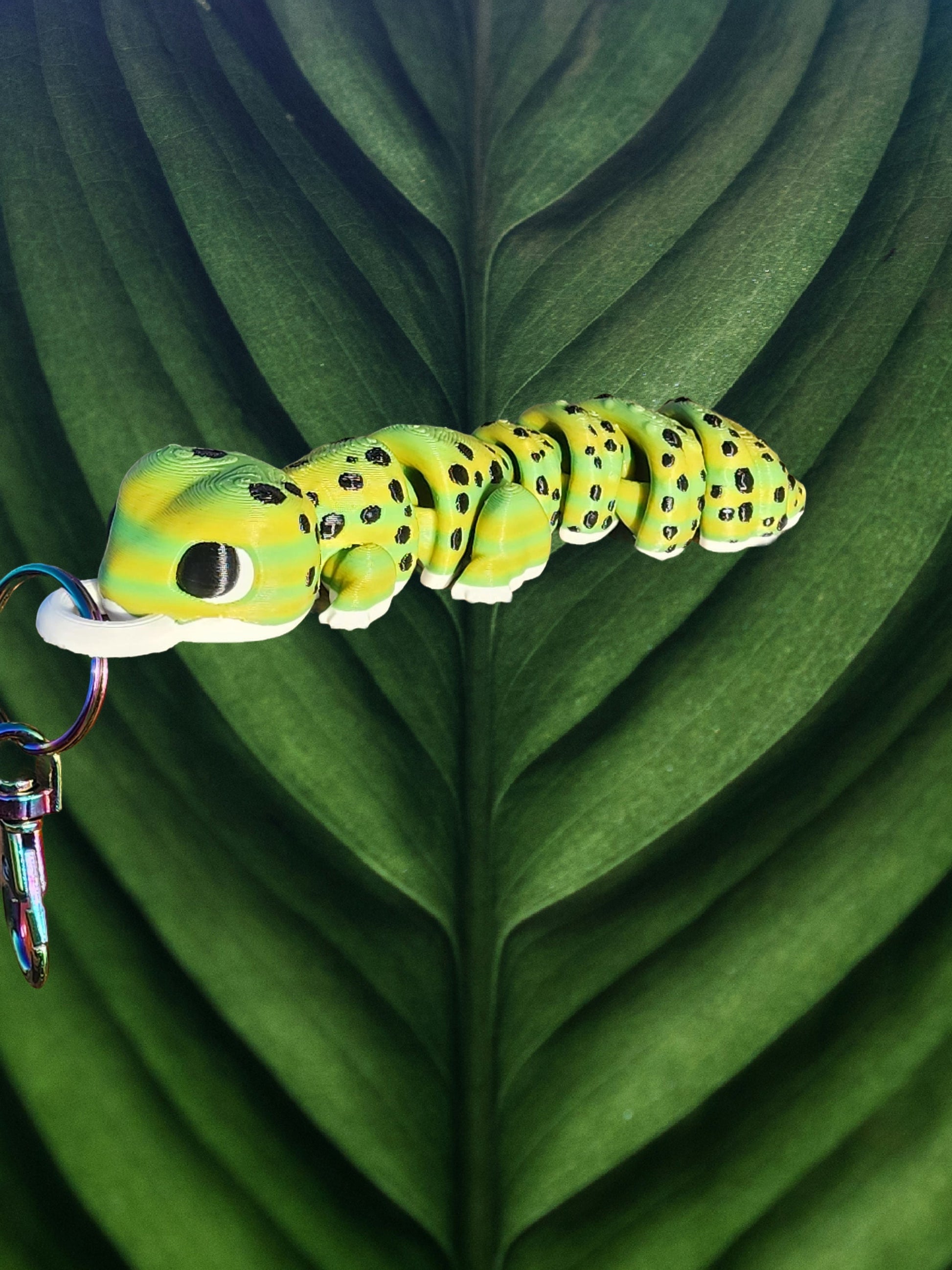 a close up of a caterpillar on a leaf