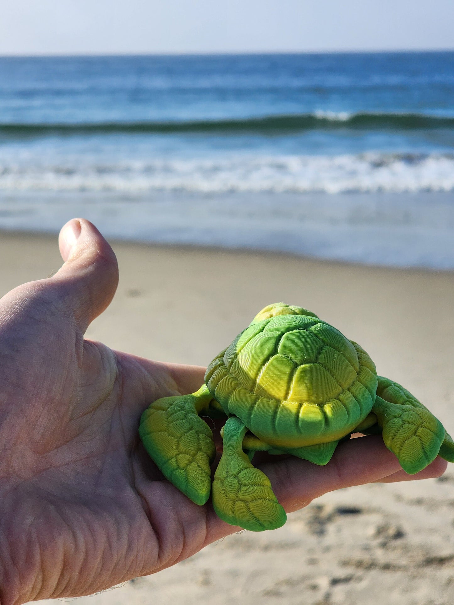 Baby Sea Turtle, Articulated Fidget Toy, Gift, Customizable, Fun, Weird