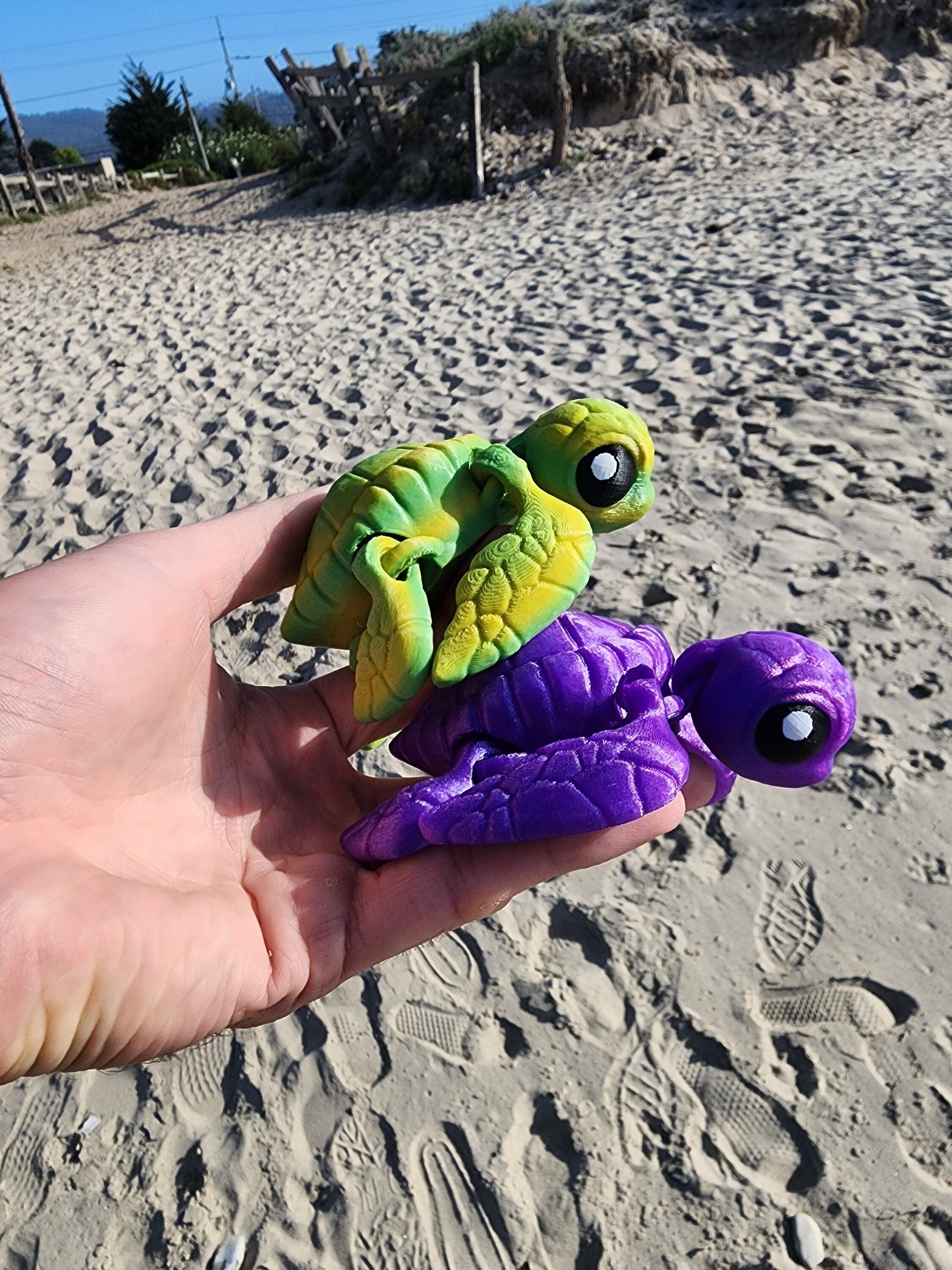 Baby Sea Turtle, Articulated Fidget Toy, Gift, Customizable, Fun, Weird