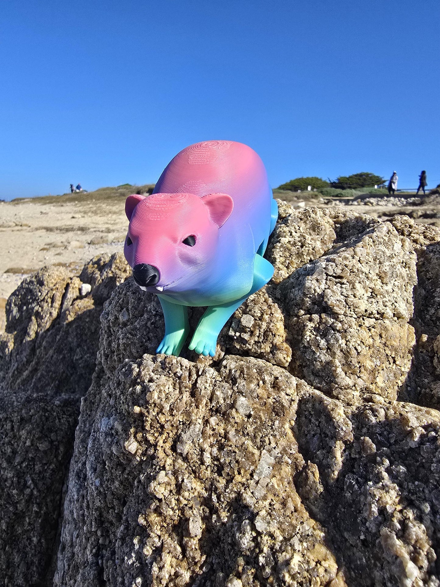 Rock Hyrax Toy  - 3D Printed, Full Color - Fun Gift - Key Buddies - Unique Item - Articulated - Fidget Toy, Handmade