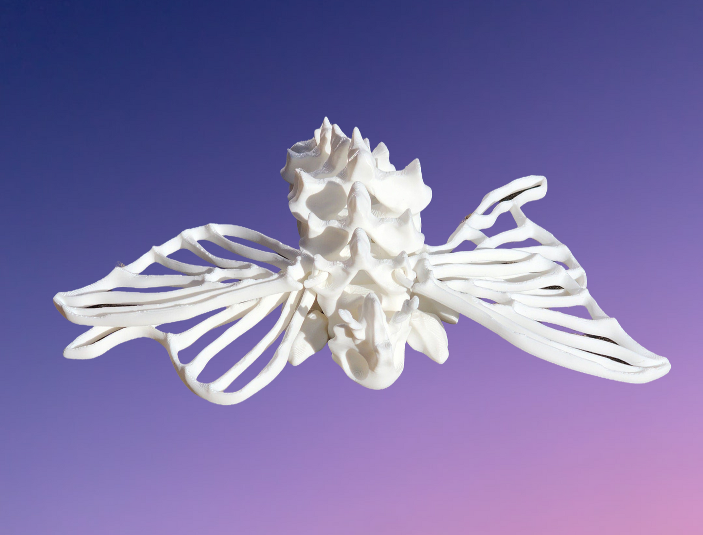 3D Printed Bone Moth - Articulated Fidget Toy