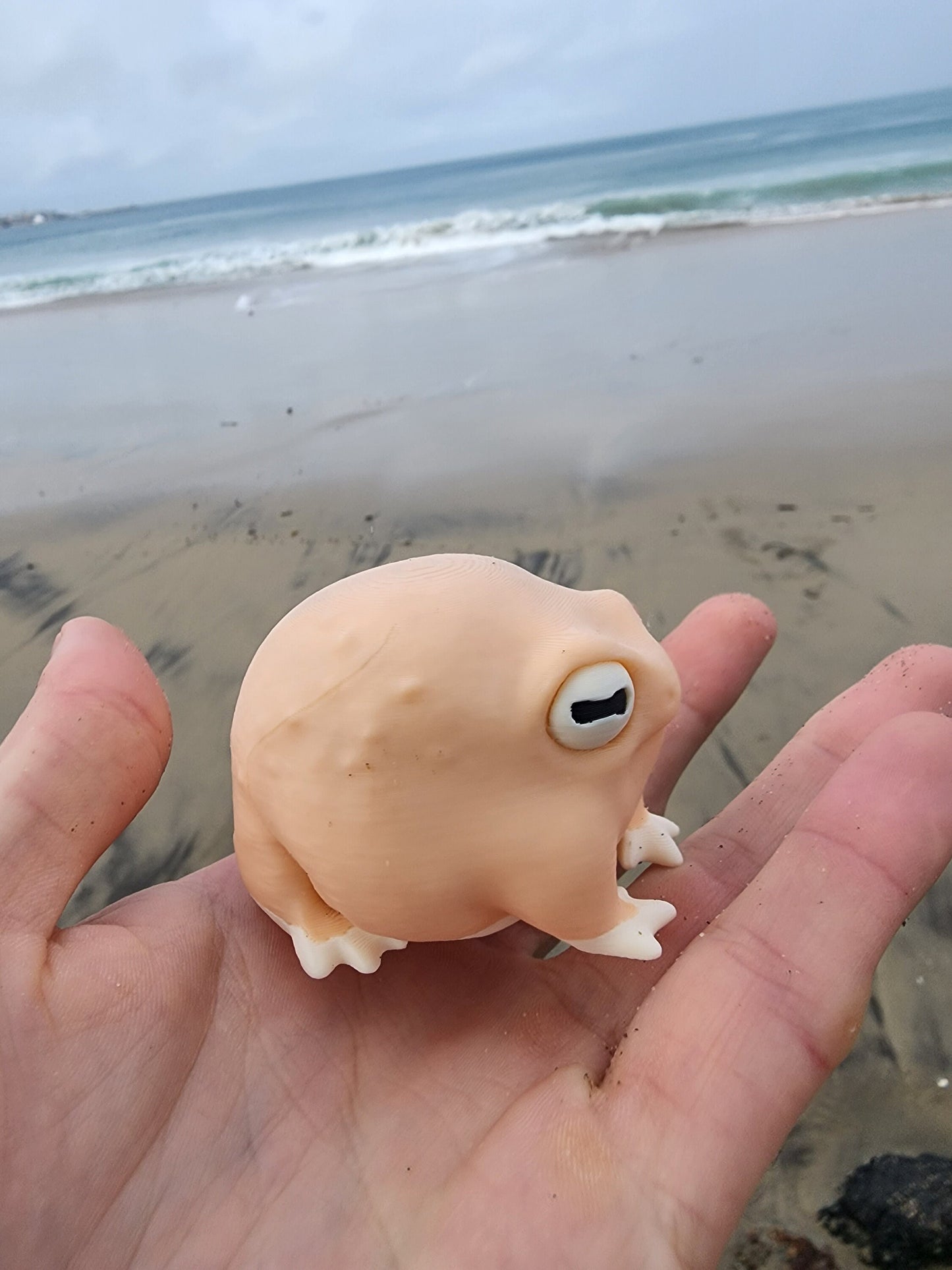 Desert Rain Frog Toy