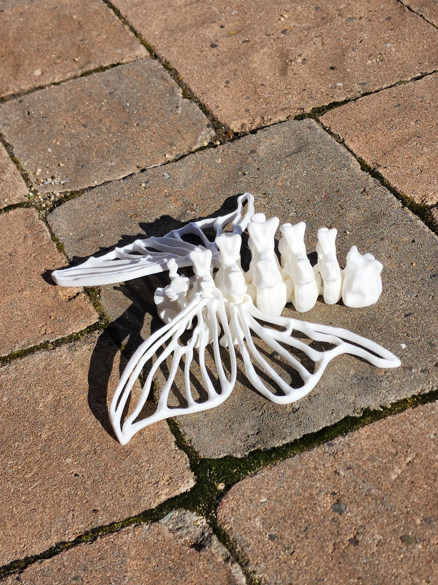 3D Printed Bone Moth - Articulated Fidget Toy