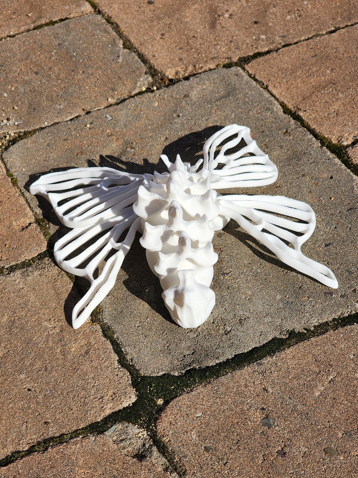 3D Printed Bone Moth - Articulated Fidget Toy