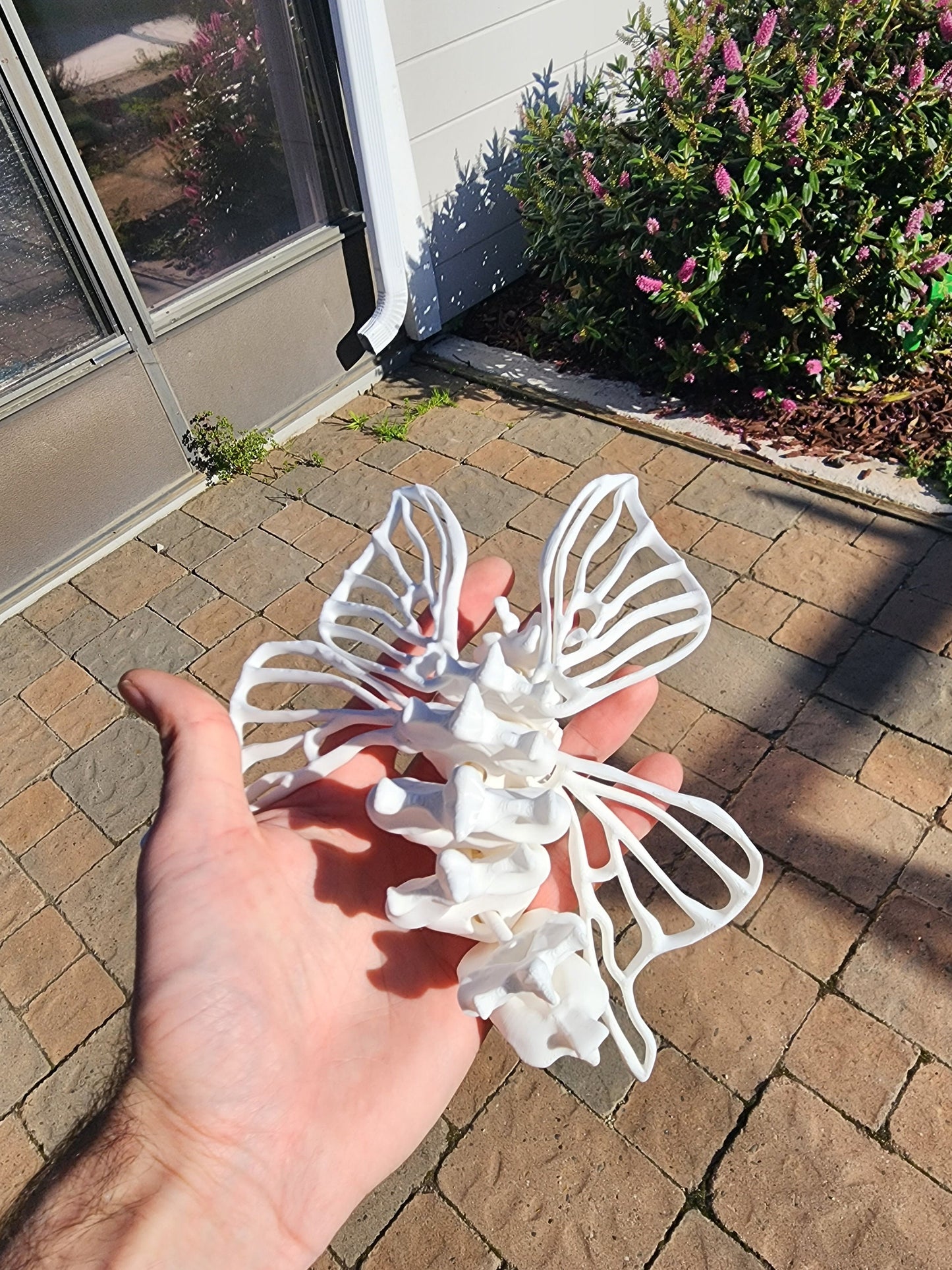 3D Printed Bone Moth - Articulated Fidget Toy