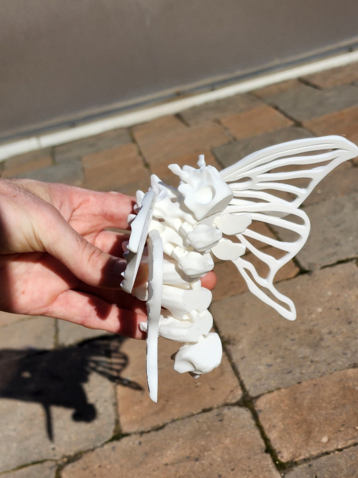 3D Printed Bone Moth - Articulated Fidget Toy