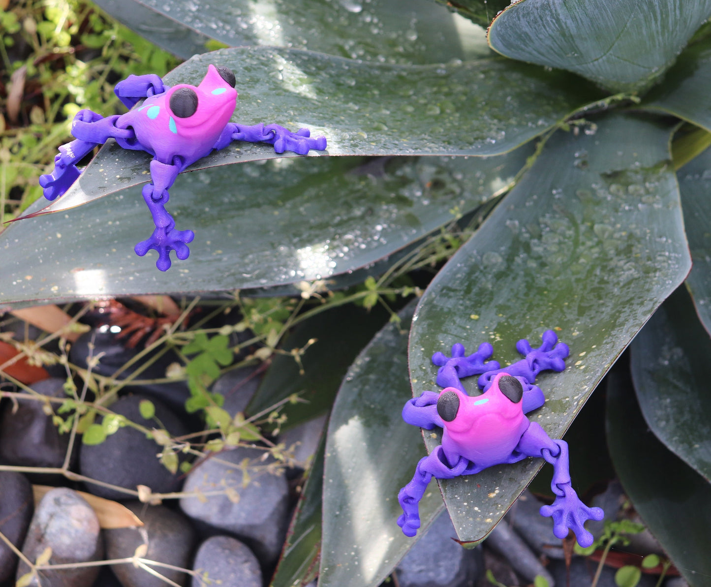 Poison Dart Frog Toy (3 PACK) - Articulated Toy