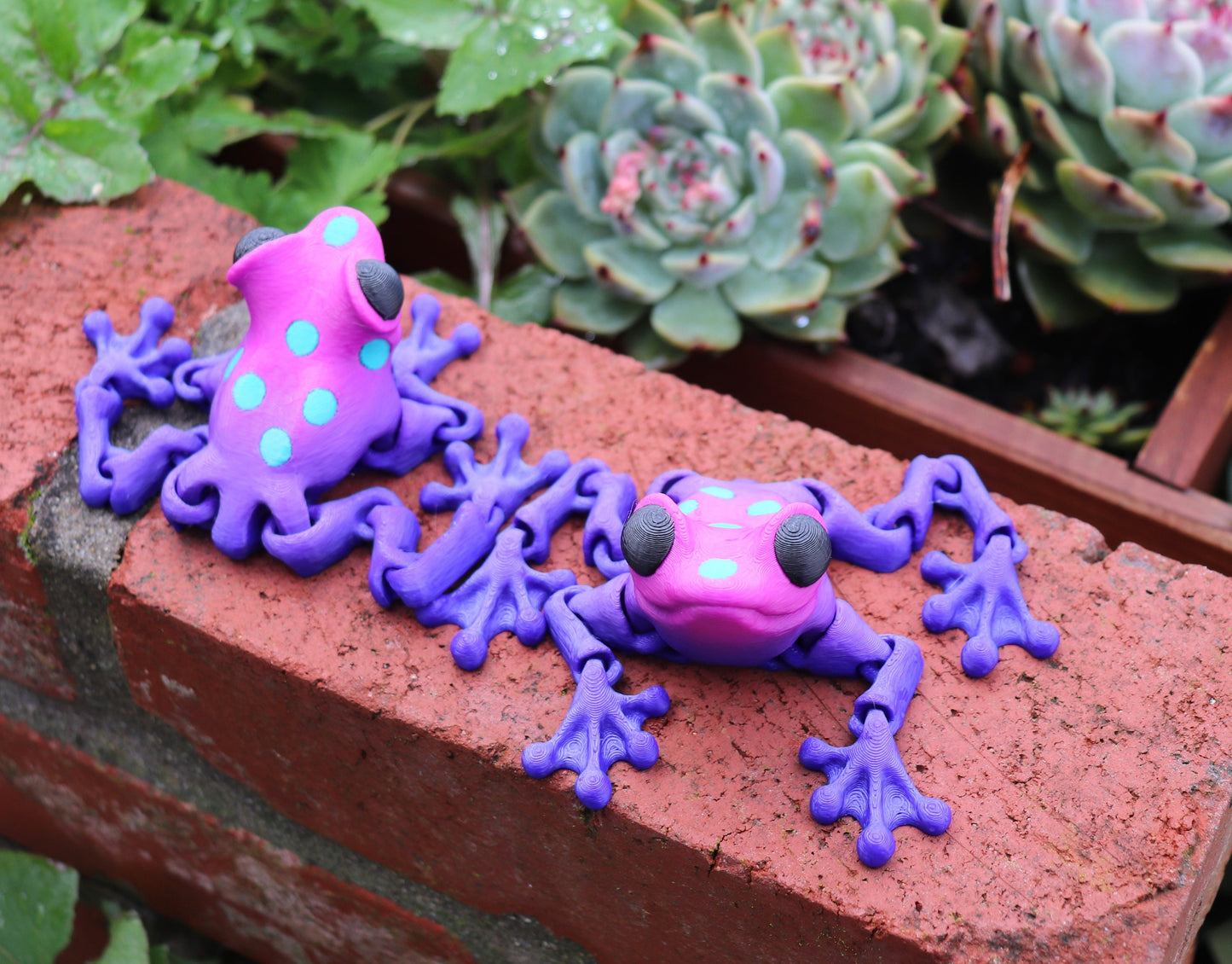 Poison Dart Frog Toy (3 PACK) - Articulated Toy