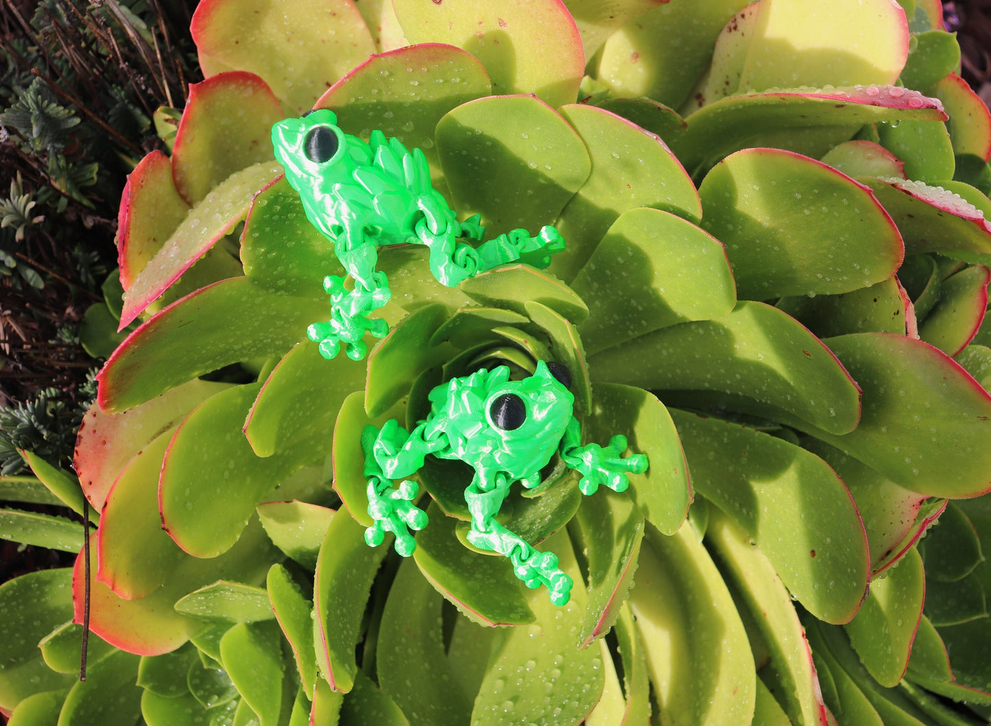 Crystal Gem Frog Toy (3 PACK) - Articulated Fidget Toy