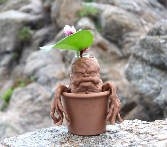 Mandrake Test Tube Plant Propagation Station