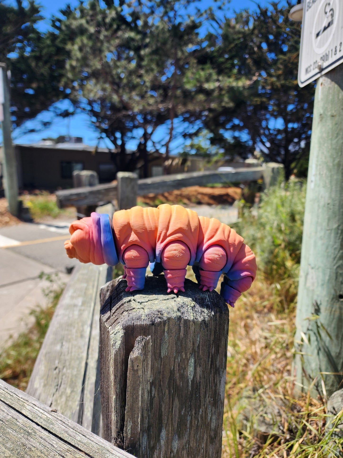 Tardigrade Water Bear - Articulated Fidget Toy