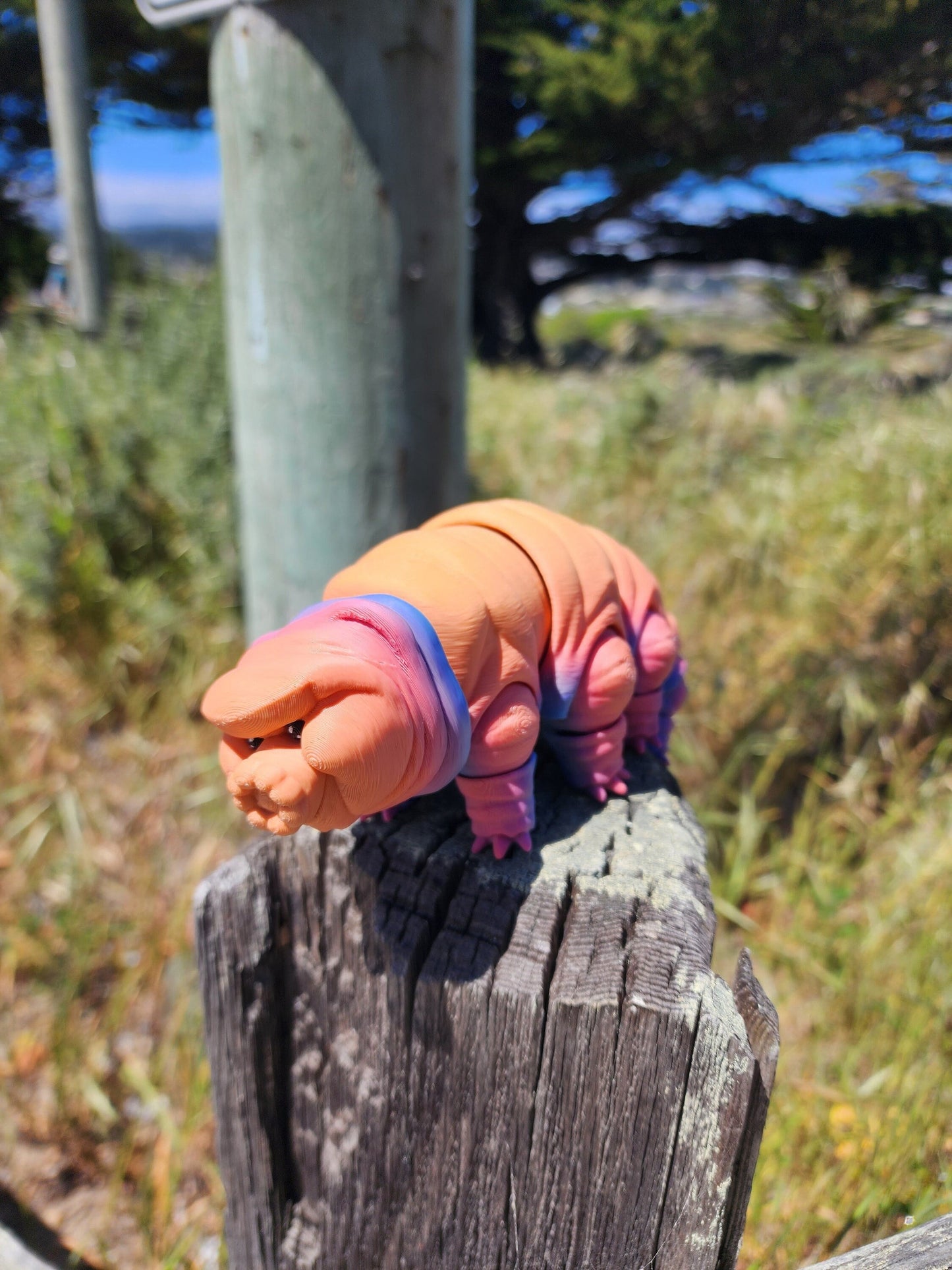 Tardigrade Water Bear - Articulated Fidget Toy