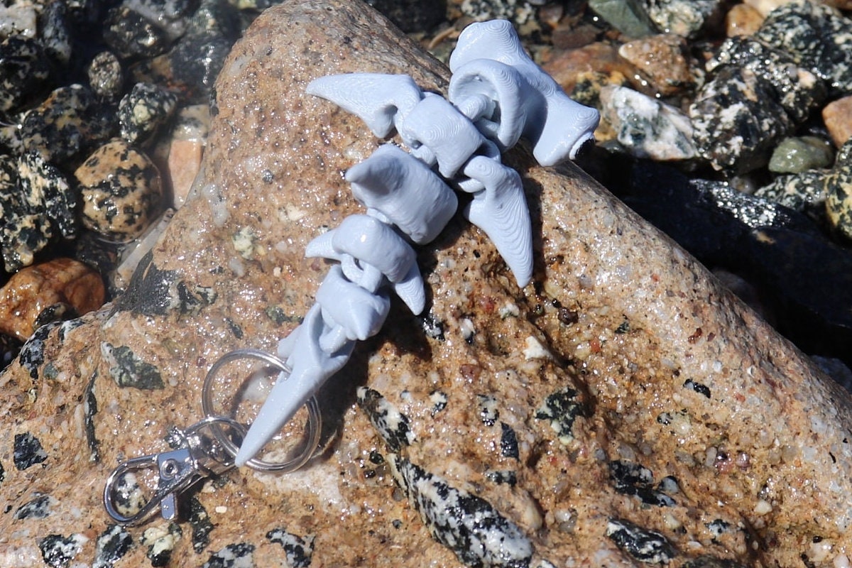Hammerhead Shark Keychain 3 Pack - Articulated Keychain – Pigeon Print Shop